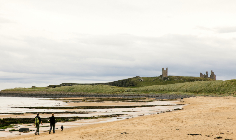 Slow down with a scenic coastal road trip