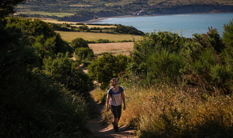 Things to do in the North York Moors National Park in Spring