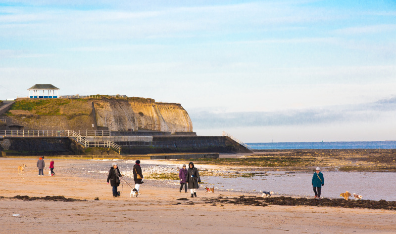 A Coast for All   …  Autumn Colours  