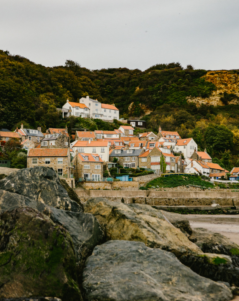 Things to do in the North York Moors National Park in Spring