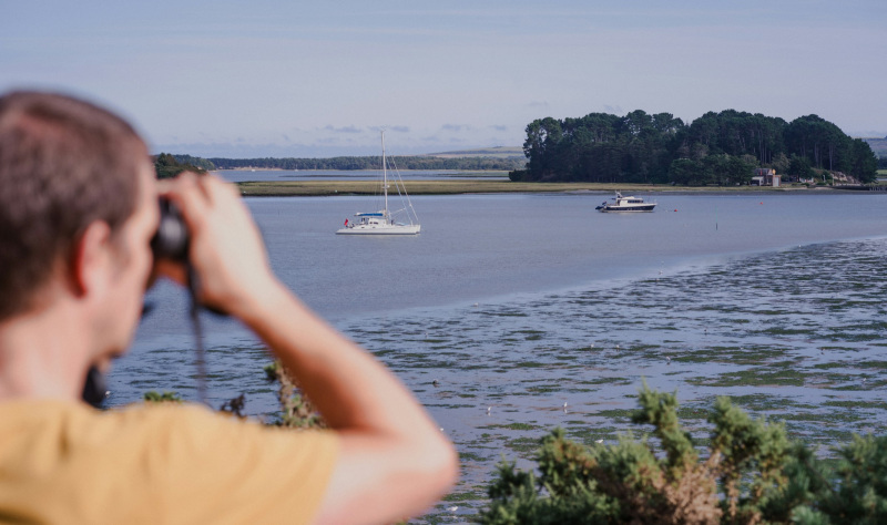 Walks & Wildlife on the Dorset Coast