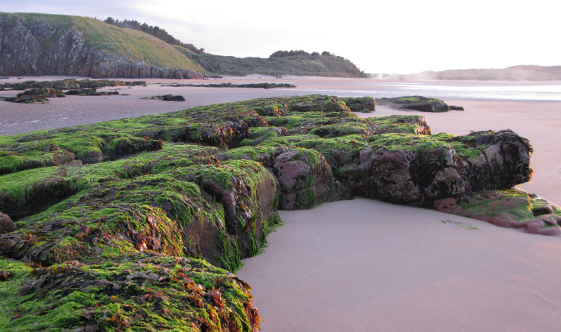 The English Coast – a stocked larder!